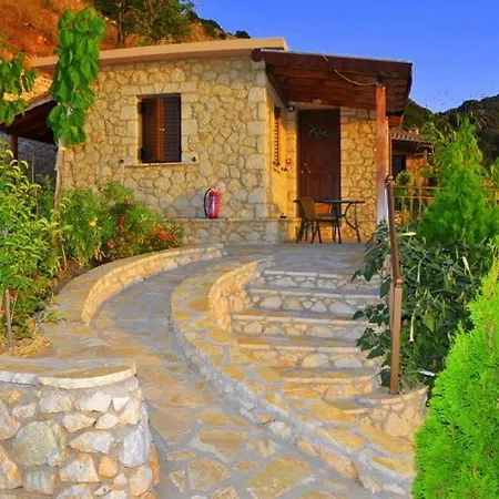 Georgia * Δρυμώνας