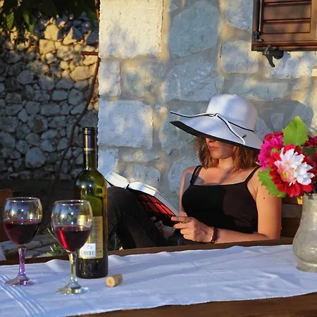 Tatil Evi Georgia
