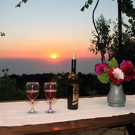 Georgia Δρυμώνας